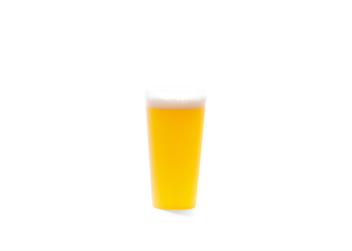 FESTICUP 12