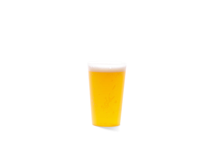 FESTICUP 10