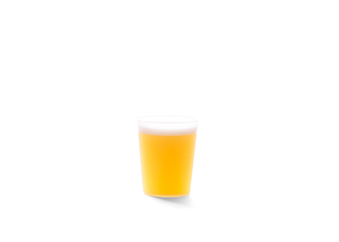 FESTICUP 5