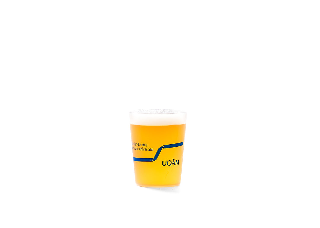 FESTICUP 5