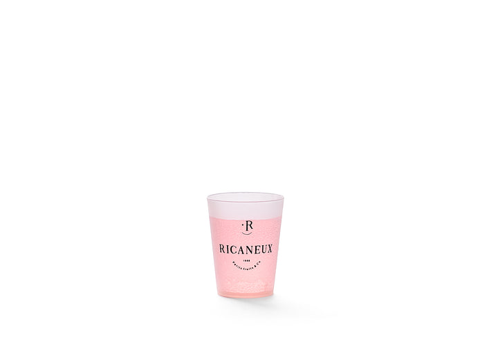 FESTICUP 3
