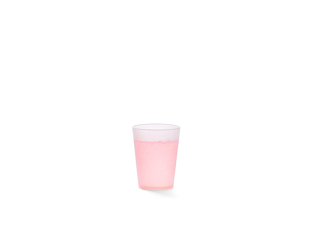 FESTICUP 3