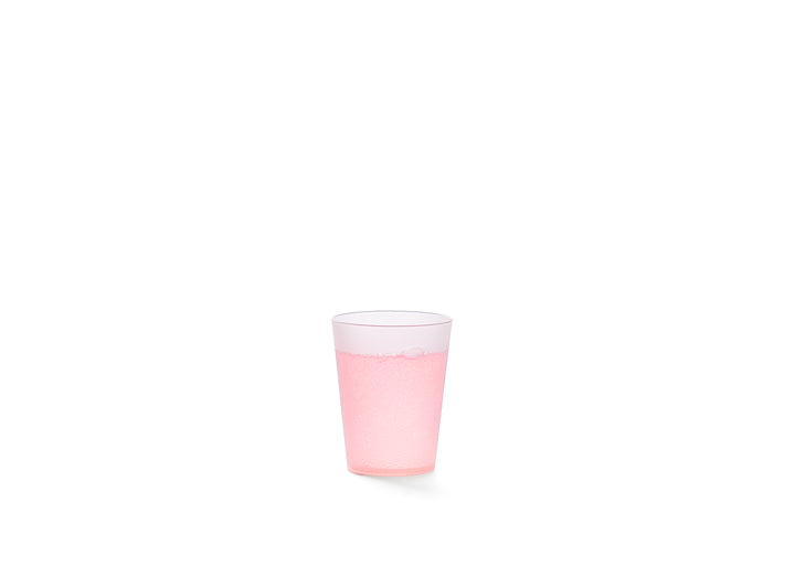 FESTICUP 3